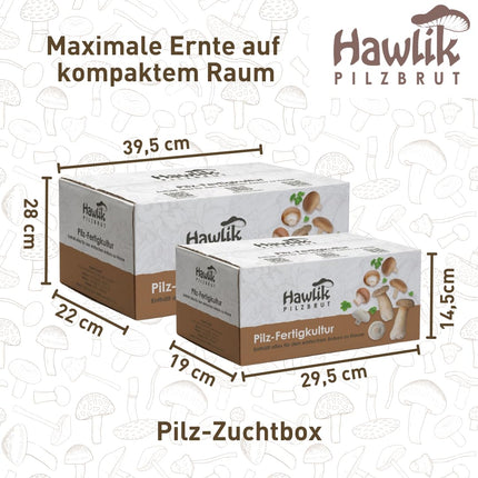 Hawlik Mushroom Spawn Mushroom Cultivation Kit XXL – Large complete kit for easy cultivation at home – High and fast harvest yields – Ideal for beginners/as a gift for children and gardening enthusiasts