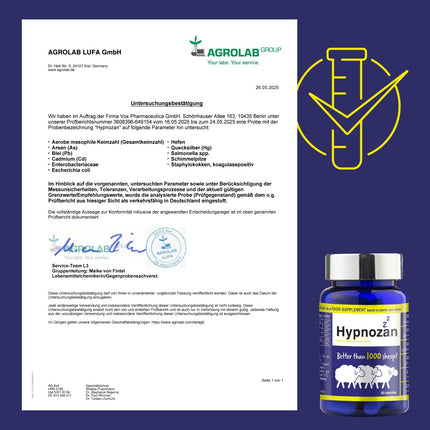 Hypnozan - Pills for better sleep Sleeping pills for adults 60 restful nights - 60 bright mornings Laboratory tested Only 1 pill before bedtime (Active pills)