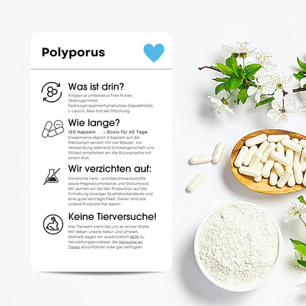 Fair &amp; Pure® - Polyporus 650mg - 120 Capsules - Polyporus umbellatus - vegan - without magnesium stearate