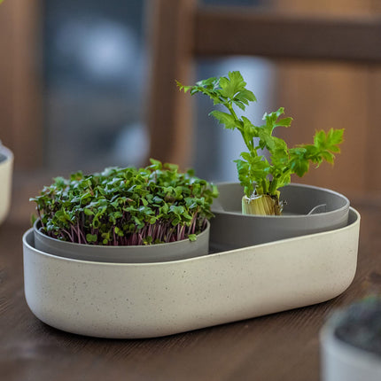Urbalive 2-in-1 large sprouting tray set - 2x cress growing trays for sprouts, cress seeds, microgreens - designer cress sieve made of high-quality plastic - sprouting box germination device with regrow option