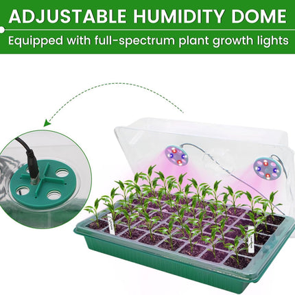 2 pieces 80 cells Seed Starter Tray Mini Greenhouse Cultivation Set with Timing Controller Adjustable Brightness, Indoor Greenhouse Cultivation Box with Plant Lamp for Plant Growth