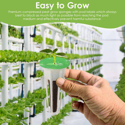 Seed Capsule Kit for Aerogarden, Grow-Anything Kit for Hydroponics, Plant Capsule Kit A&amp;B for Solid Plant Fertilization with Plant Baskets, Grow Sponges, Plant Domes, and Labels, (12 Pieces)