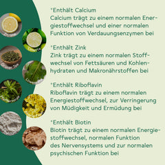 BitterLiebe Fiber Powder with Lemon Flavor - Mix of ground psyllium husks, inulin (prebiotics), apple fiber, and acacia fiber - Multi Fiber Complex, the perfect intestinal cleanse - 300g