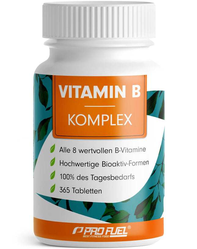 Vitamin B complex 365 tablets - B complex with B12 - all 8 B vitamins (B1, B2, B3, B5, B6, B7, B9, B12) + co-factors choline &amp; myo-inositol, laboratory tested with certificate, vegan