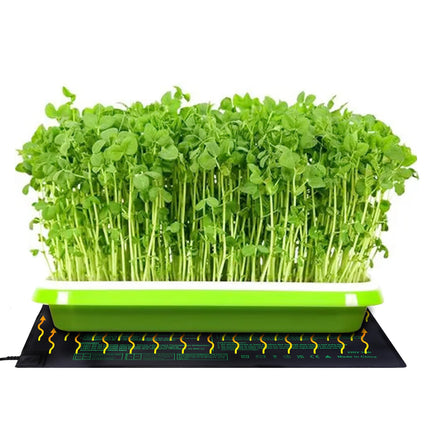 AIICIOO Heating Mat with Thermostat Seedling Heating Mats Heat Mat Plants Indoor Greenhouse for Seed Germination Plants Terrarium Warming Cultivation Heating Mat 10x20 inch 18W