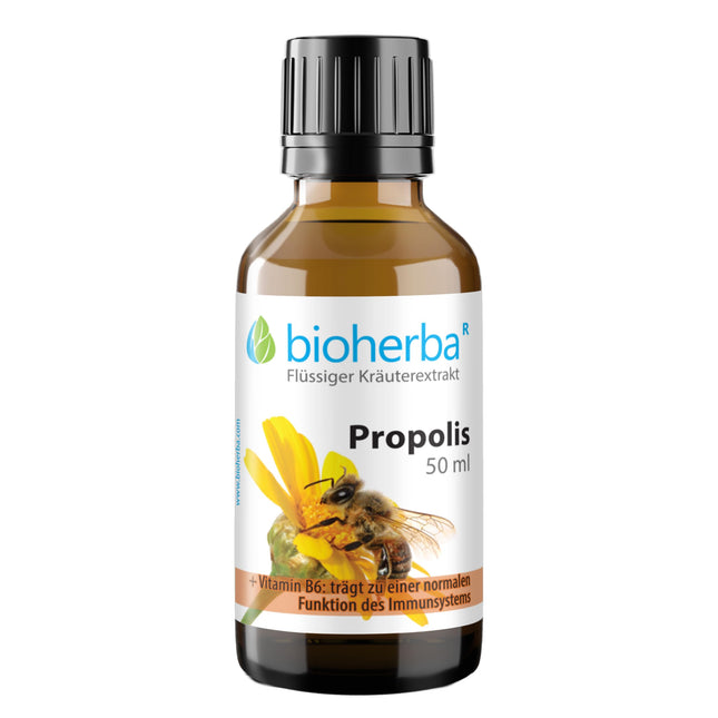 Propolis drops alcohol-free – 50 ml tincture with vitamin B6 – herbal food supplement from BIOHERBA PZN 17187037