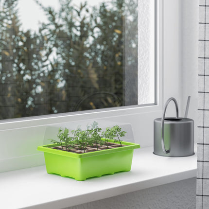 WELLGRO Mini Greenhouse including 6 plant labels - for up to 12 plants - approx. 19x14.5x11cm per indoor greenhouse, plastic/cellulose - quantity selectable, quantity: 3 pieces
