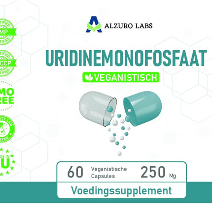 Alzuro Labs Uridine Monophosphate | 250 mg | 60 Vegan Capsules | High-Dose Brain, Memory &amp; Nervous System Support | 2-Month Supply | Laboratory-Tested GMP-Certified Dietary Supplement