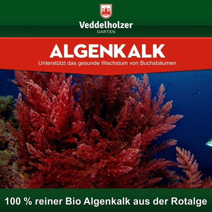 THE WINNER 09/2020 Veddelholzer 6kg organic algae lime 100% pure powder from seaweed strengthens resistance &amp; regeneration of the boxwood against the boxwood moth Boxwood fertilizer Natural fertilizer Spray