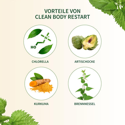 BodyFokus Clean Body Restart - Liver, Homocysteine ​​and Fat Metabolism - 60 Capsules - Made in Germany