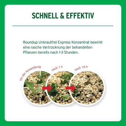 Roundup Weed Free Express, 3 liter spray system, ready-to-use spray for controlling weeds, grasses and moss
