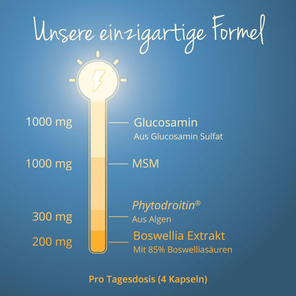 Glucosamine Chondroitin High Dose &amp; Vegan | 1000 mg Glucosamine | With MSM | Laboratory-Tested &amp; Vegan | No Additives | German Production by Vegavero®