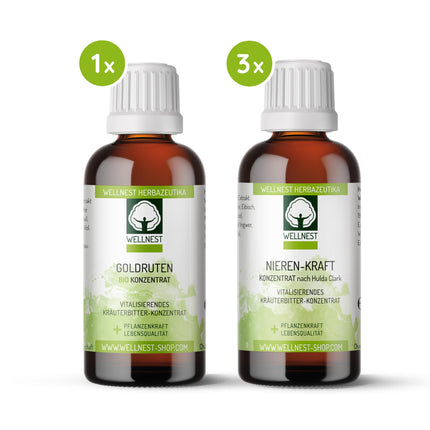 Wellnest Kidney Power Detox Treatment Package (detoxification treatment package for 30 days of kidney cleansing according to Hulda Clark) - 100% plant-based - easy to use, including magazine
