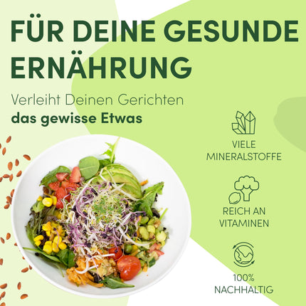 Green SEEDS® Cress Sieve Set | Stainless steel sieve with high-quality ceramic bowl | Growing tray 14 x 14 cm, dishwasher-safe and rust-proof + Sprouting ABC, sustainably packaged
