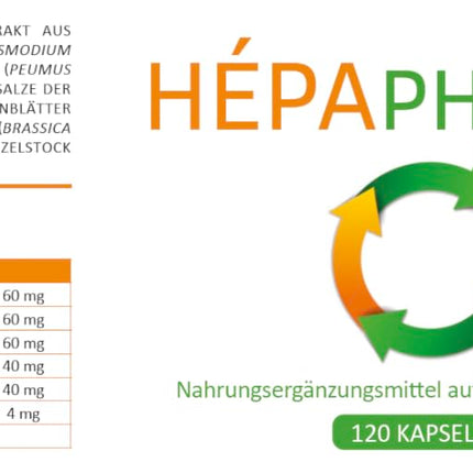 Hepaphenol - Manages Cholesterol Levels - Protects Us From Diabetes - Controls Our Energy - Protects Us From Diseases - 4 packs every 4 months