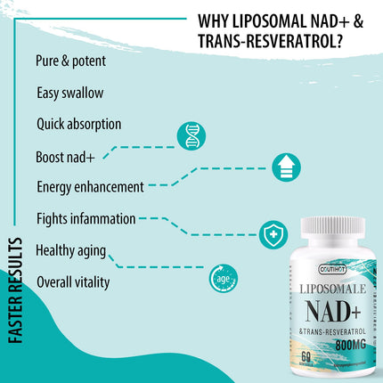 Liposomal NAD+ with Trans-Resveratrol Supplement | High Dose: 800 mg per Serving for 60 Days | 60 Softgels | Optimal Absorption (60 Softgels (1 Pack))