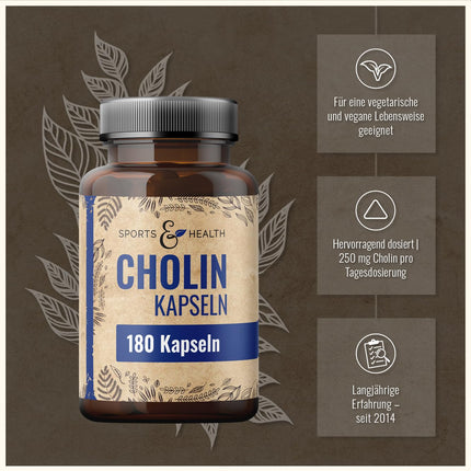 Choline Capsules - High Dose Choline Capsules - 180 High Dose Choline Capsules - Pure Choline Powder in Capsules - Choline