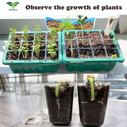 VDYXEW indoor greenhouse cultivation box, 6 pieces 72 cells mini greenhouse cultivation set, mini greenhouse ideal for plant growth and seed germination.