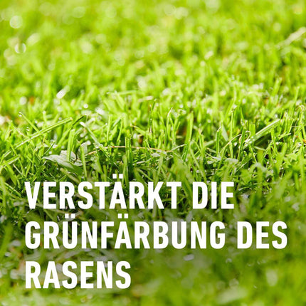 Compo Lawn Fertilizer Moss - No Thanks! 7.5 kg