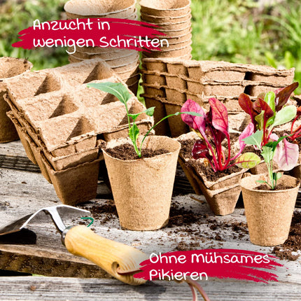 Windhager Growing Pots &amp; Growing Tablets, Growing Tablets, Coconut Soil Tablets for Growing Cuttings, Seeding Soil, Pressed Coconut Soil, Peat-Free, 100 Pieces, 3.5 cm, 04342, Brown