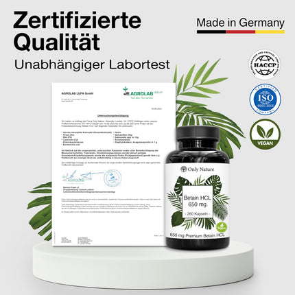 Betaine HCL 650 mg - 240 Capsules - Heartburn Tablets - High Dose - Produced in Germany &amp; Laboratory Tested - Vegan - Betaine HCL