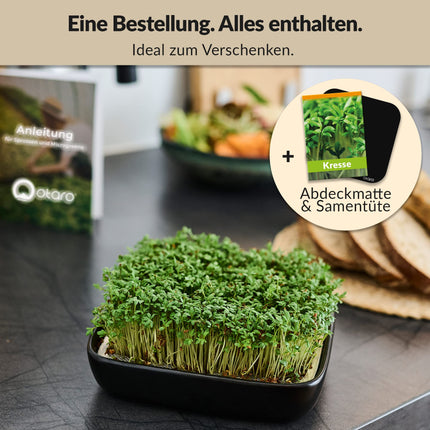 Otaro Cress Seed Trays (Black) | Get started right away | Elegant cress strainer, sprouting trays, sprouting tray | Perfect as thank-you gifts (Premium Ceramic Set)