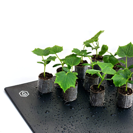 FYTO Heat 55.2 Deluxe | Heating mat for plant cultivation and reptiles | 55 x 35 cm, 35 watts | Ideal for propagation, indoor greenhouses, grow boxes, and terrariums