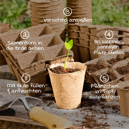 Windhager Growing Pots &amp; Growing Tablets, Growing Tablets, Coconut Soil Tablets for Growing Cuttings, Seeding Soil, Pressed Coconut Soil, Peat-Free, 100 Pieces, 3.5 cm, 04342, Brown