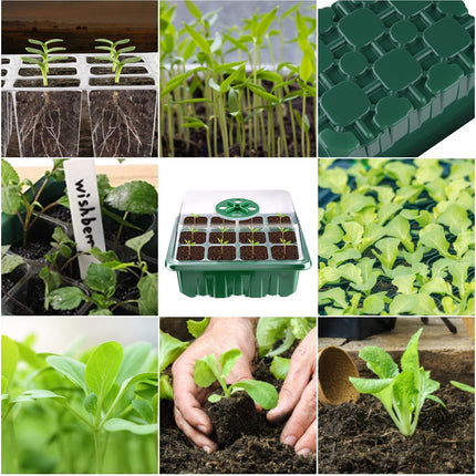 KAHEIGN 12Pcs Growing Kit Indoor Greenhouse Propagator, 144 Cells Mini Greenhouse Growing Set, Seedling Starter Trays Greenhouse Growing Tray with Lid Ventilation for Seedling Plant