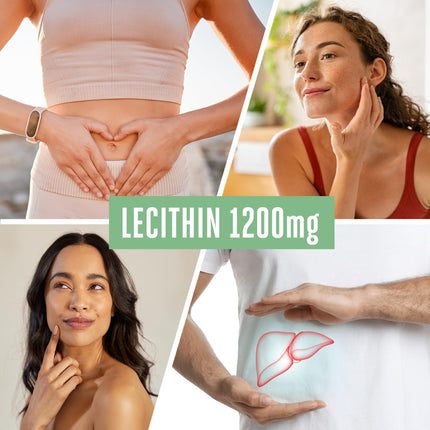 Vitabay Lecithin 1200 mg | 120 vegan soy lecithin softgels | Soy lecithin with phosphatidylcholine | Purely organic &amp; non-GMO | Breastfeeding vitamins with vitamin E | L. powder alternative