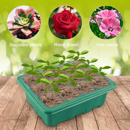PNOOFR 5 Pack Indoor Greenhouse Propagator, Mini Greenhouse Propagation Set, Lid Indoor Greenhouse Propagation Set, Propagation Tray with Ventilation, for Seedling Plant, Including Tools (Green)