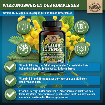FLORA INTENSO® Probiotic Complex 100 billion CFU/g - Laboratory-tested 23 bacterial strains without inulin - Enteric-coated intestinal bacteria with Lactobacillus + Bifidobacteria - DE- SCHEUNENGUT®