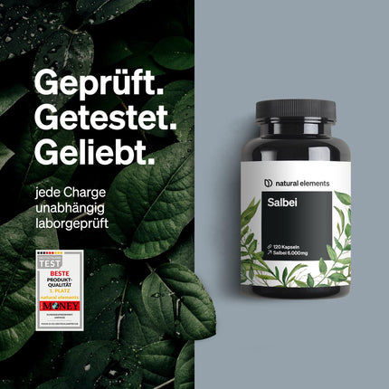 Sage – 120 Capsules – 6000mg sage per daily dose – Sage extract 10:1 – vegan, high dosage, without unnecessary additives – produced in Germany &amp; laboratory-tested