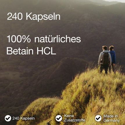 Betaine HCL 650 mg - 240 Capsules - Heartburn Tablets - High Dose - Produced in Germany &amp; Laboratory Tested - Vegan - Betaine HCL