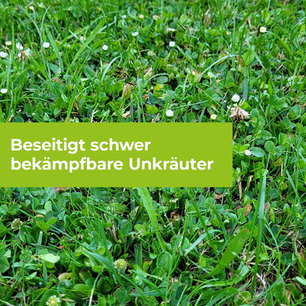 PROTECT GARDEN Universal Lawn Weed Killer Loredo Quattro Lawn Weed Killer against stubborn weeds with 4-fold action, 400 ml