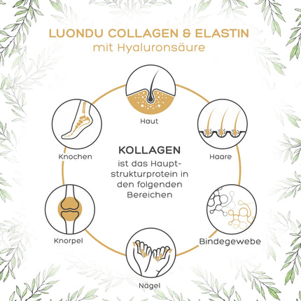 Luondu® Collagen Powder with Elastin, Hyaluronic Acid &amp; Vitamin C - Bioactive Collagen Hydrolysate Peptides Types I, II &amp; III - Optimal Solubility &amp; Bioavailability - Neutral - 500g