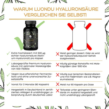 Hyaluron capsules high dose 500mg 90 pieces (3 months) Hyaluronic acid with vitamin C, zinc, selenium, vitamin B2 - laboratory tested, vegan, made in Germany