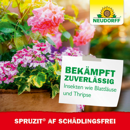 Neudorff Spruzit AF Pest-Free – Controls pests such as box tree moths, aphids, and thrips on ornamental plants, vegetables, fruit, and herbs, 500 ml