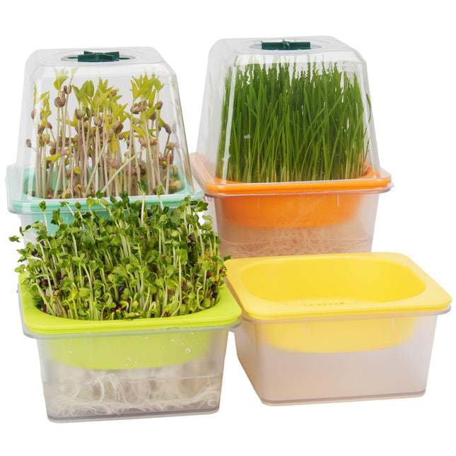 LUVCOSY Sprouting Kit with 4 Sprouting Trays and Lid - Sprouting Trays for Sprouts - Growing Mung Beans, Alfalfa, Wheatgrass - Sprouting Kit for Easy Germination at Home - Clear