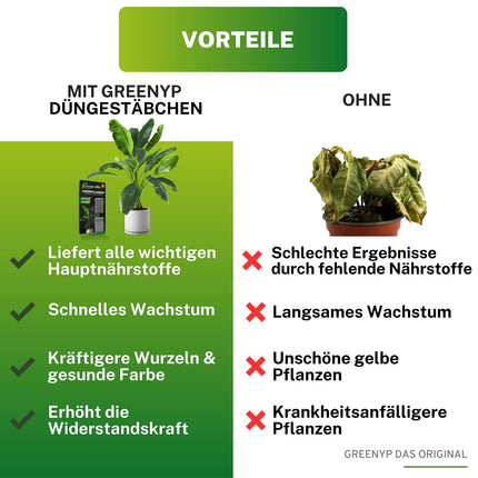 Greenyp 50x universal fertilizer green plants fertilizer sticks for all green plants, houseplants and balcony plants I long-term fertilizer NPK fertilizer with extra iron and 3 months fertilizing power