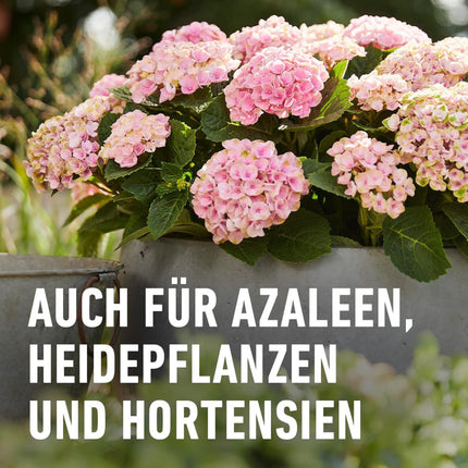 COMPO Rhododendron Long-Term Fertilizer 850g