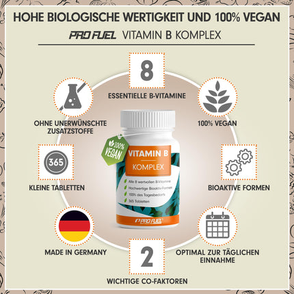Vitamin B complex 365 tablets - B complex with B12 - all 8 B vitamins (B1, B2, B3, B5, B6, B7, B9, B12) + co-factors choline &amp; myo-inositol, laboratory tested with certificate, vegan