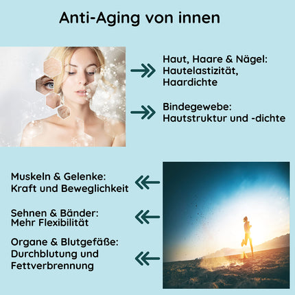 INTEROSA Collagen Powder 500 g - Multi Collagen Complex 5 Types: 1, 2, 3, 5, 10 - high-quality eggshell membrane peptides - tasteless