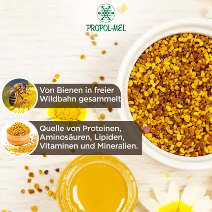 Propol-mel - Bee Pollen (EU) 1 kg – 100% natural product. Pure bee pollen. Source of proteins, amino acids, lipids, vitamins, and minerals.