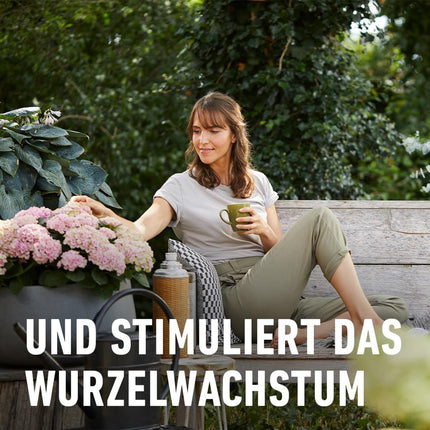 COMPO Hydrangea and Camellia Fertilizer for all bog plants, special liquid fertilizer with extra iron, 1 liter, Hydrangea Fertilizer