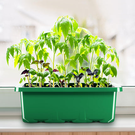 MIXC Indoor Greenhouse Propagator 10 Pieces 120 Cells Mini Greenhouse Small Growing Set Growing Tray with Ventilation and Shatter-Proof Lid for Seedling Plant, Green