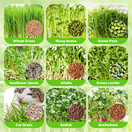 YODITI sprouting trays for sprouts cress cultivation trays: 6PCS Seed Sprouter Tray germination tray sprouts with lid for hydroponic large seed germination tray germination box for growing mung beans wheatgrass