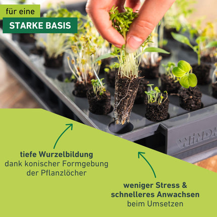 Windhager RootXtender Root Trainer, Indoor Greenhouse for 40 Plants, Root School Seed Tray, Root Trainer Seed Box for Best Root Formation