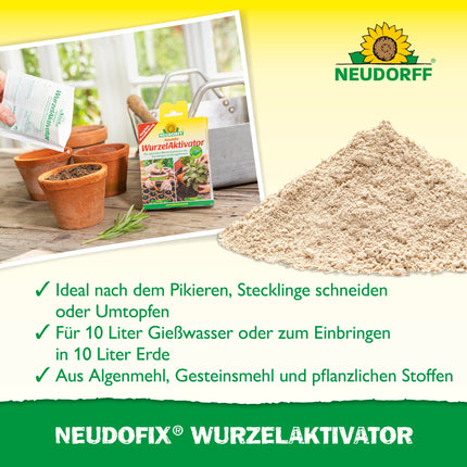 Neudorff Neudofix Root Activator – Natural root activator for optimal and rapid root growth of cuttings and young plants, 40 g, multicolored