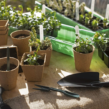 Meister Growing Pots 8 x 8 cm - Practical set of 96 - Made of paper pulp - Biodegradable / Plant pot / Seed pot / Plant cultivation / WU9968330, Natural